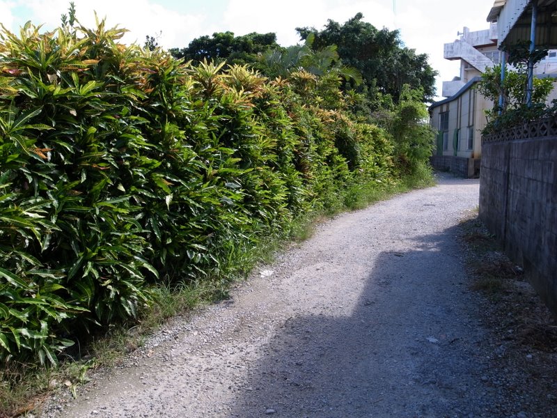 f:id:SQB:20101002195842j:image