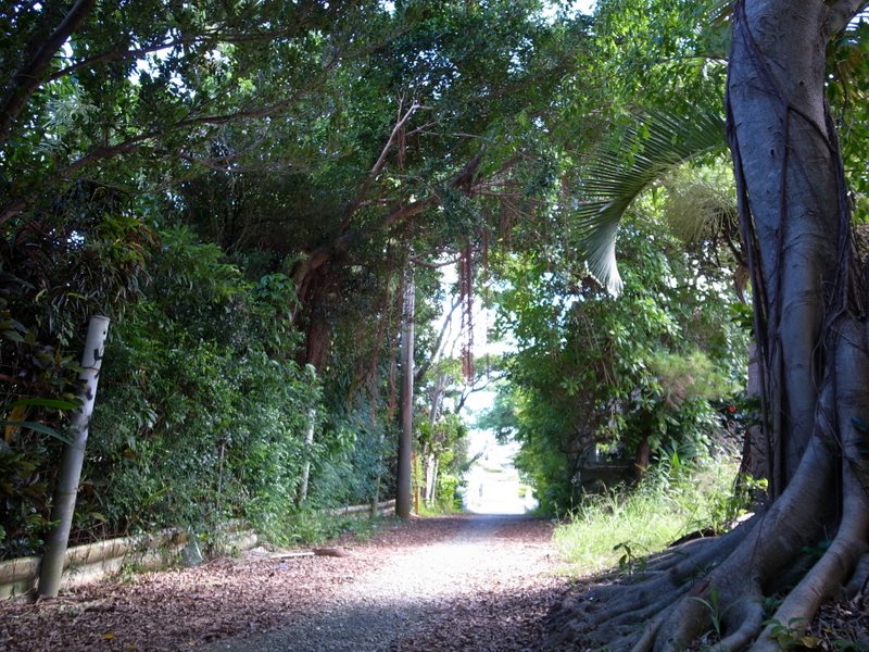 f:id:SQB:20101002195911j:image