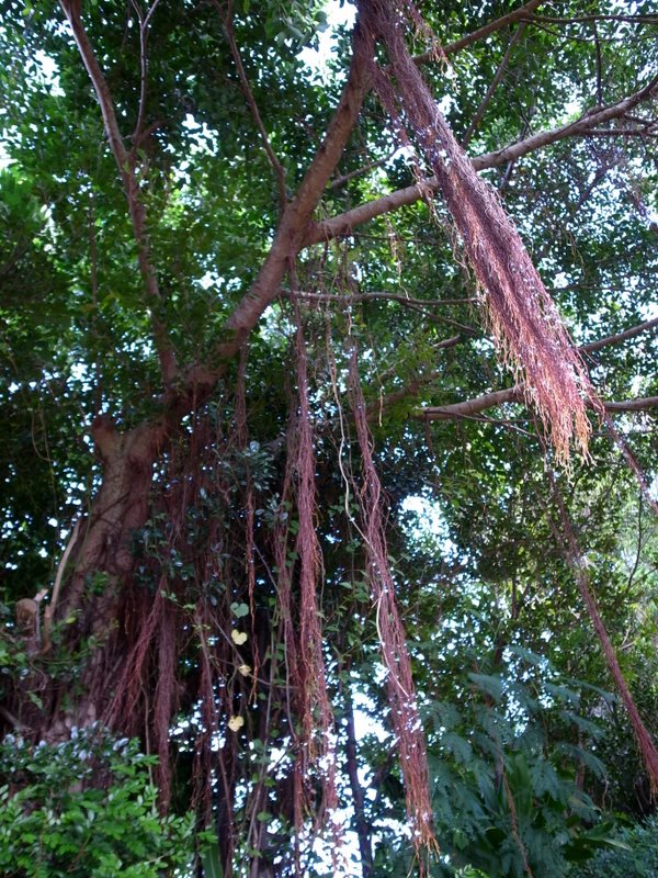 f:id:SQB:20101002195914j:image