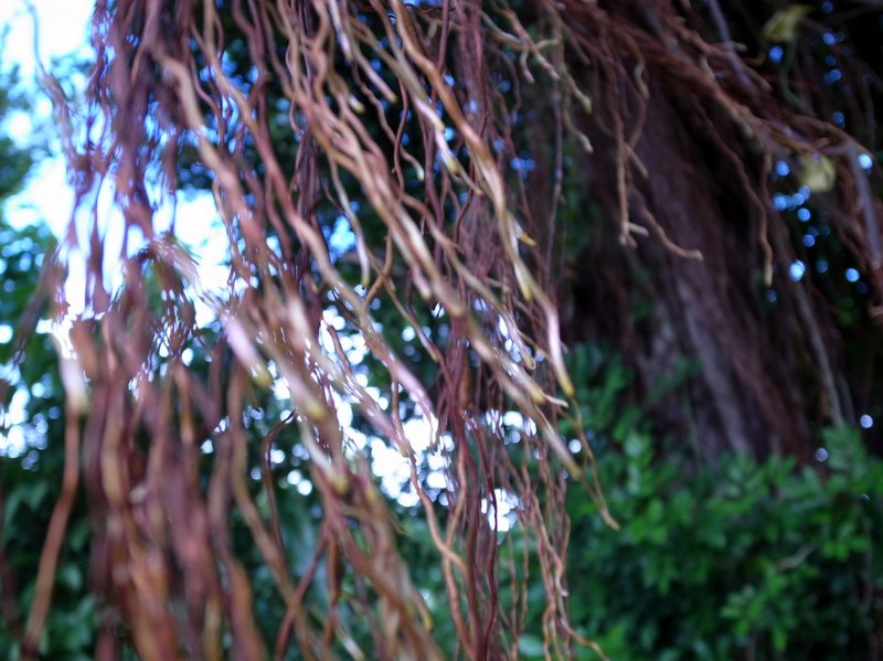 f:id:SQB:20101002195918j:image