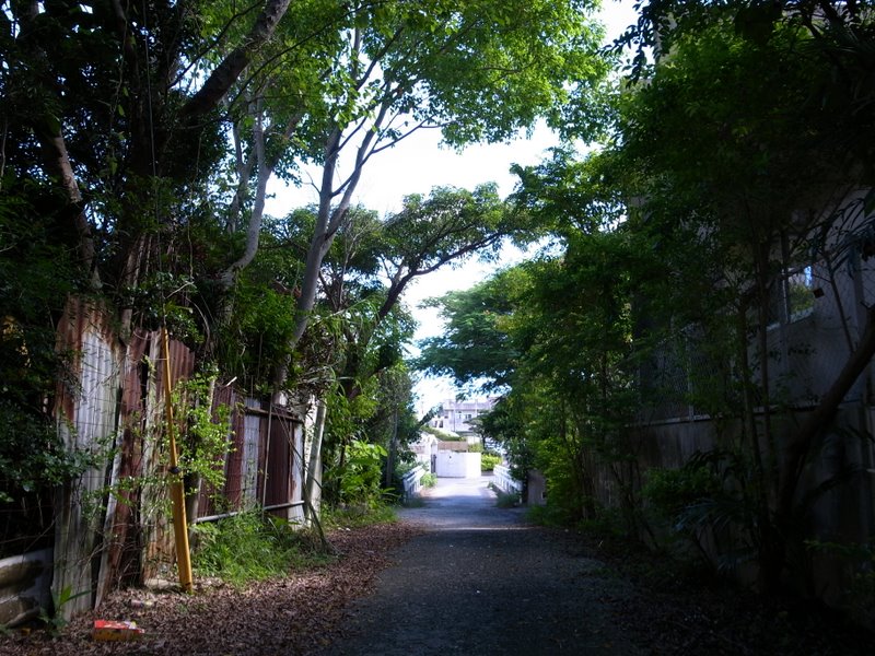 f:id:SQB:20101002195921j:image