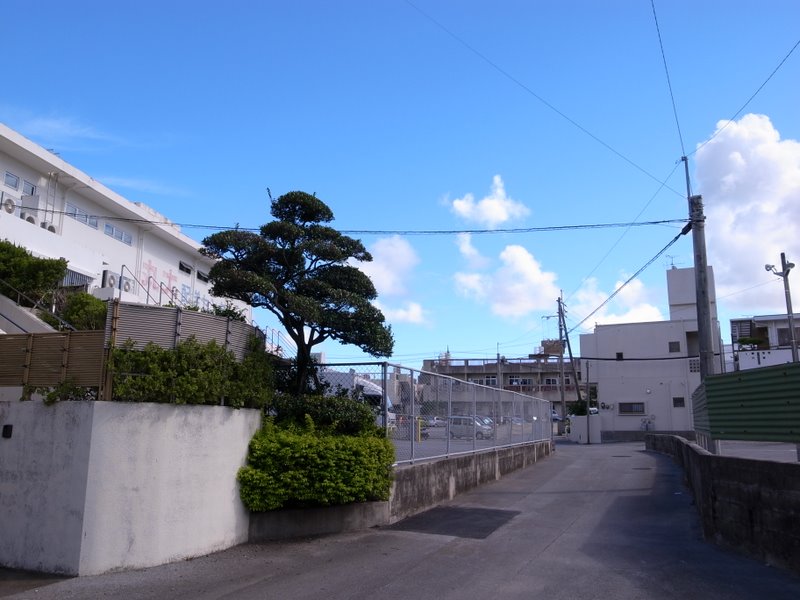 f:id:SQB:20101002195926j:image
