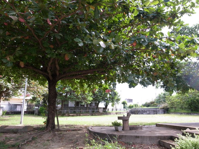 f:id:SQB:20101009193040j:image