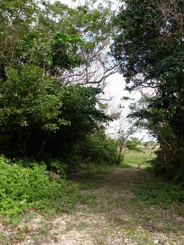 f:id:SQB:20101030213657j:image