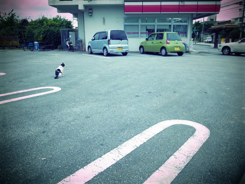 f:id:SQB:20101030215256j:image