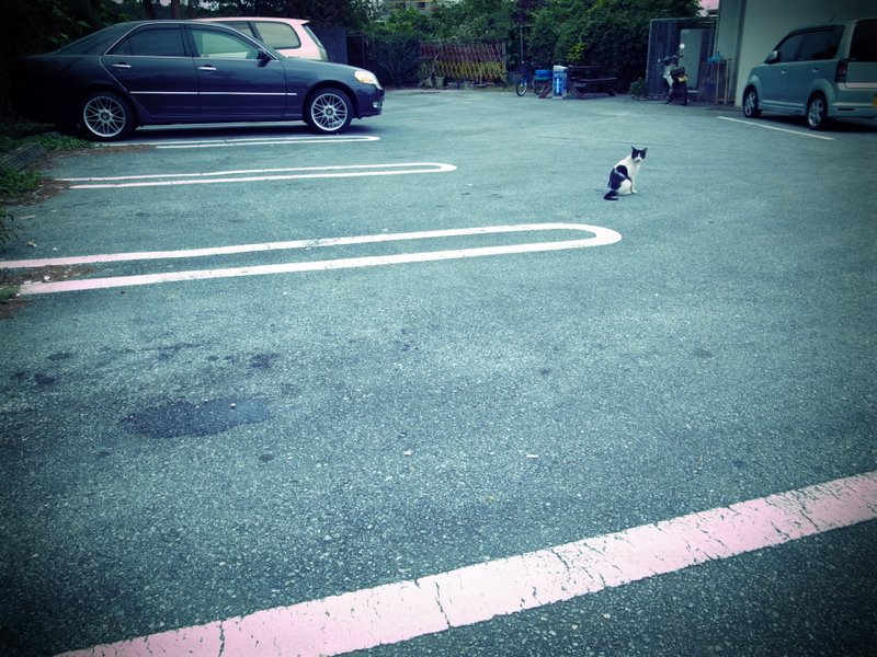 f:id:SQB:20101030215301j:image