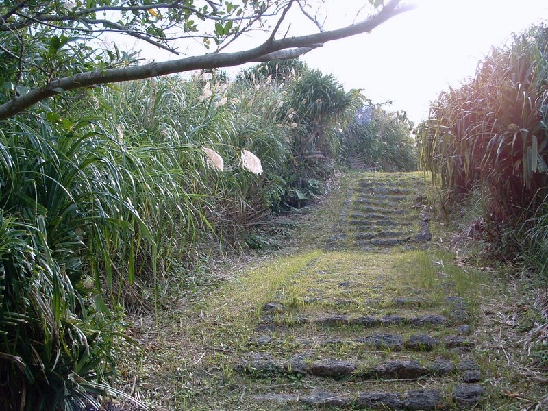 f:id:SQB:20110107220203j:image