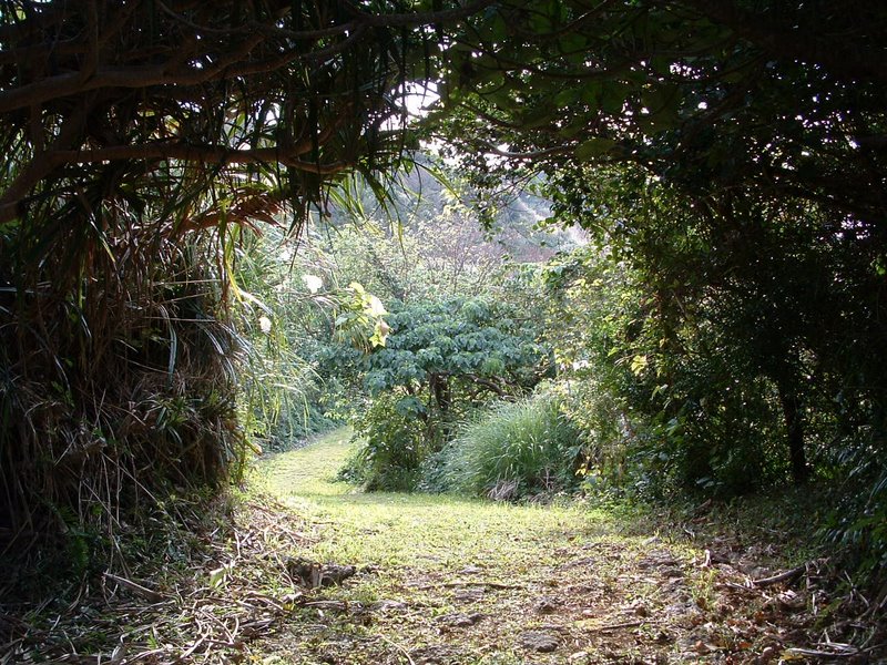 f:id:SQB:20110121210040j:image
