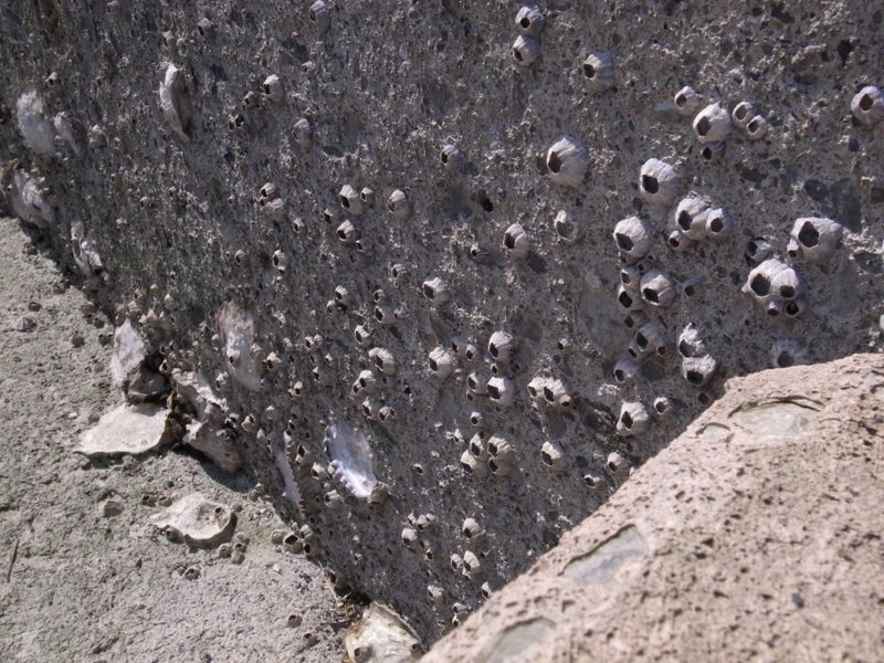 f:id:SQB:20110205204759j:image