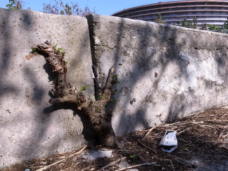 f:id:SQB:20110205204820j:image