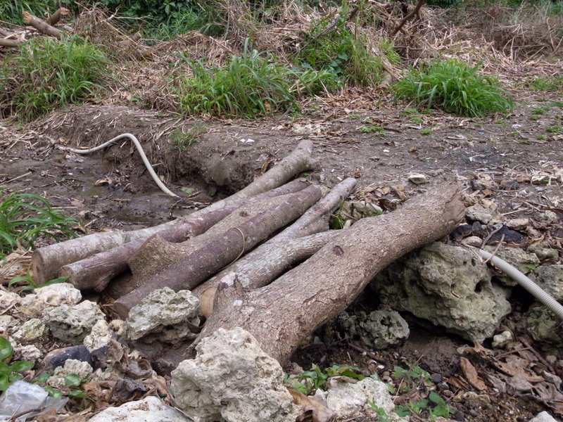 f:id:SQB:20110226201848j:image