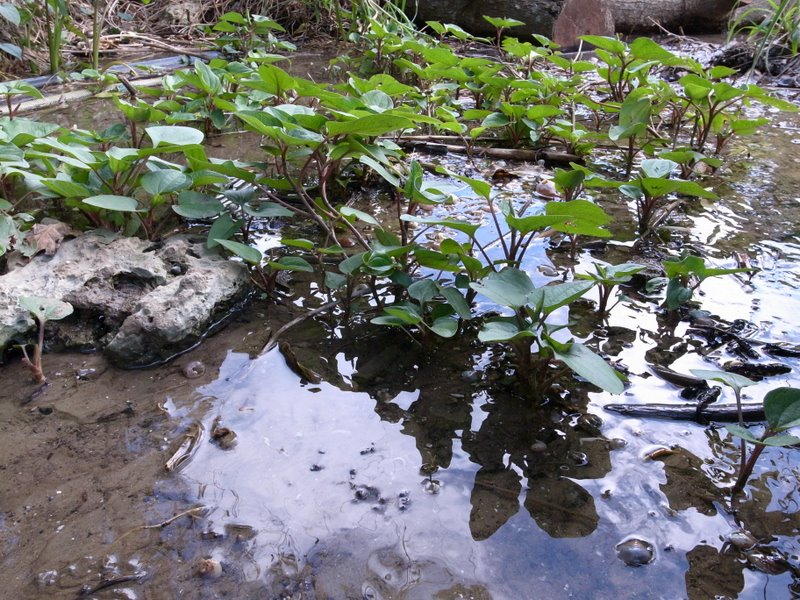 f:id:SQB:20110226202227j:image