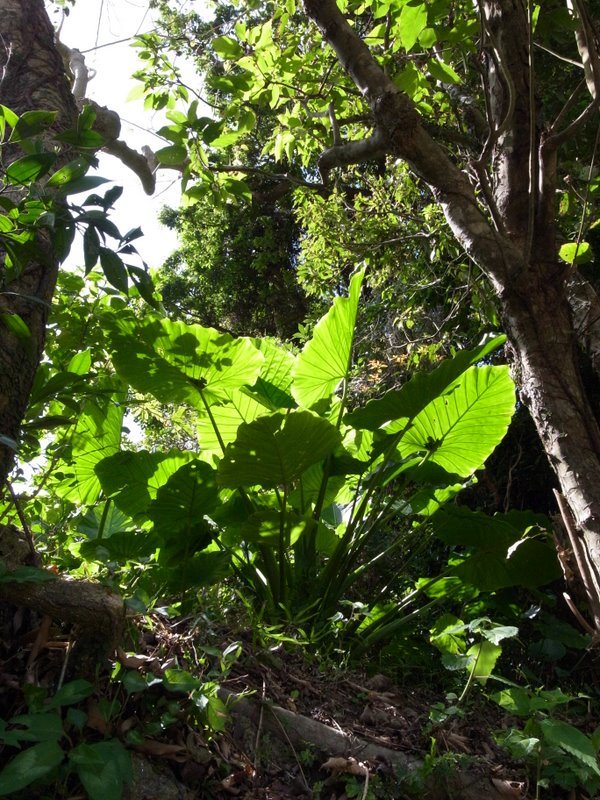 f:id:SQB:20110226202231j:image