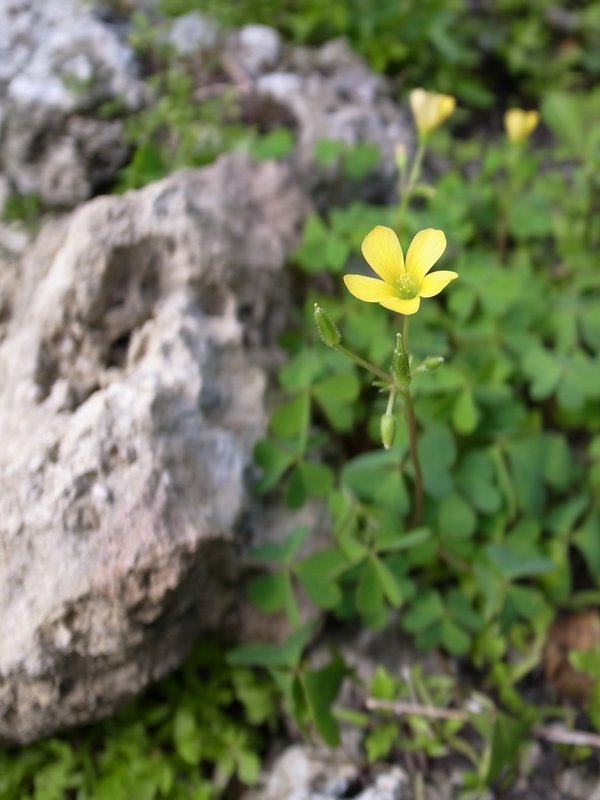 f:id:SQB:20110226202232j:image