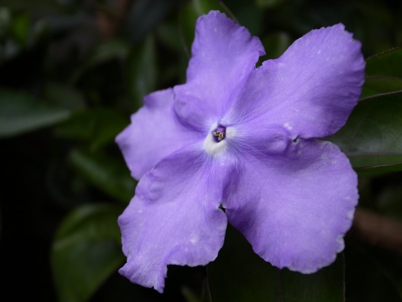 f:id:SQB:20110317215634j:image