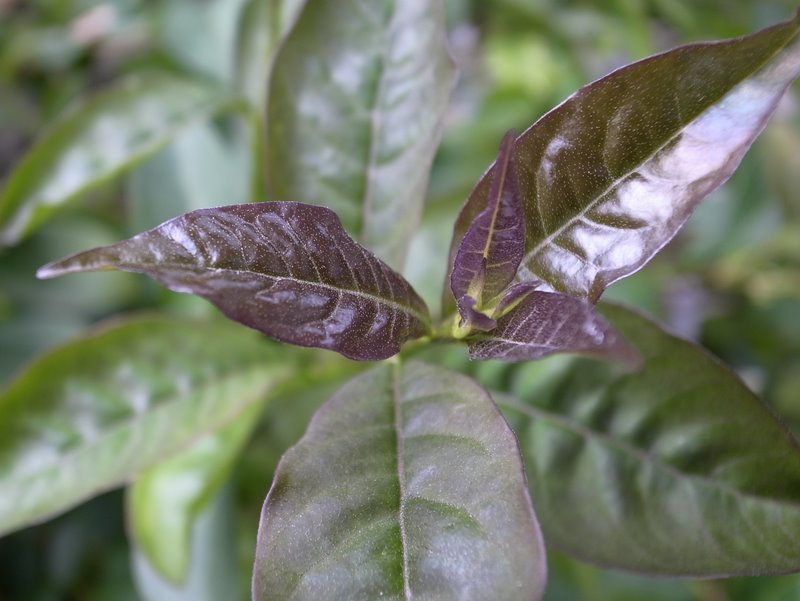 f:id:SQB:20110317215635j:image
