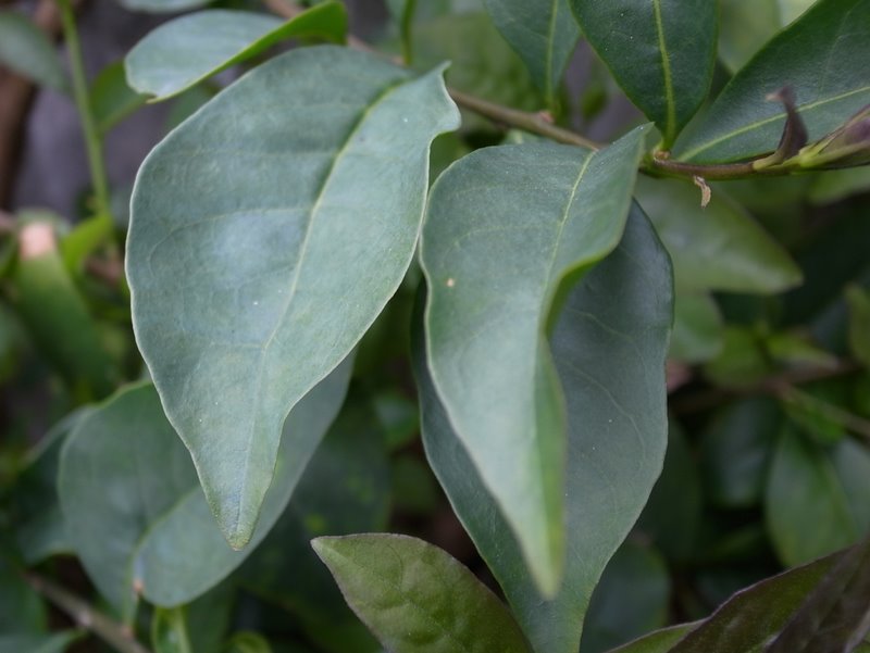 f:id:SQB:20110317215637j:image