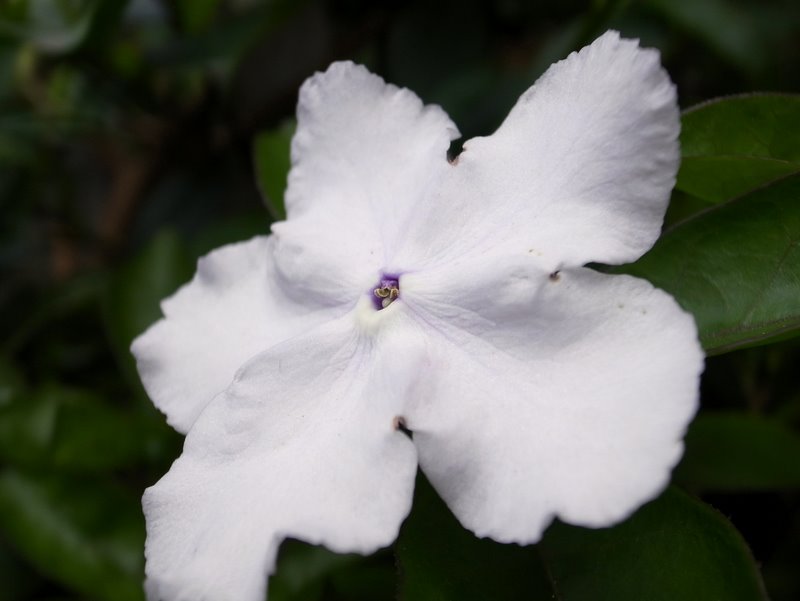 f:id:SQB:20110319195829j:image