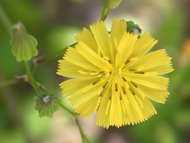 f:id:SQB:20110401211616j:image