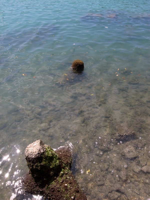 f:id:SQB:20110409191842j:image