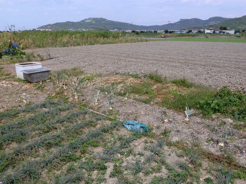 f:id:SQB:20110419192443j:image