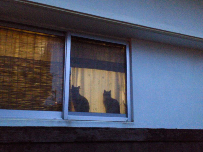 f:id:SQB:20110426204304j:image