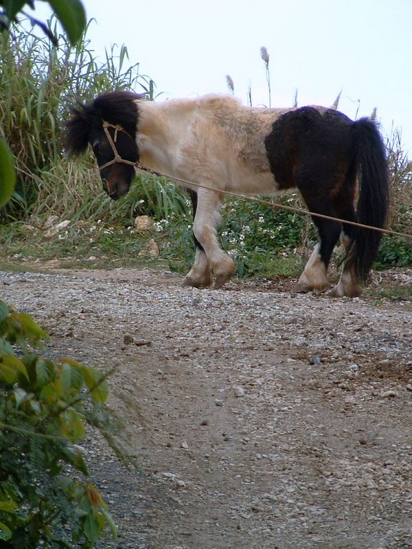 f:id:SQB:20110512205922j:image