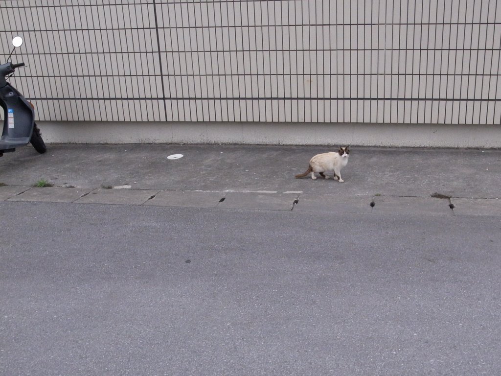 f:id:SQB:20110514200927j:image