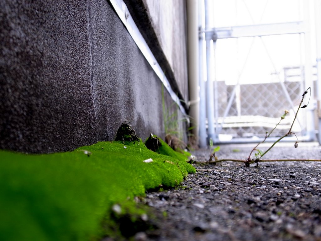 f:id:SQB:20110521193916j:image