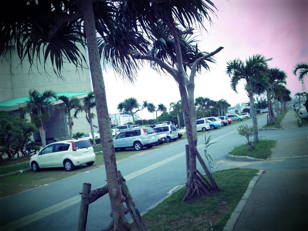 f:id:SQB:20111117190033j:image