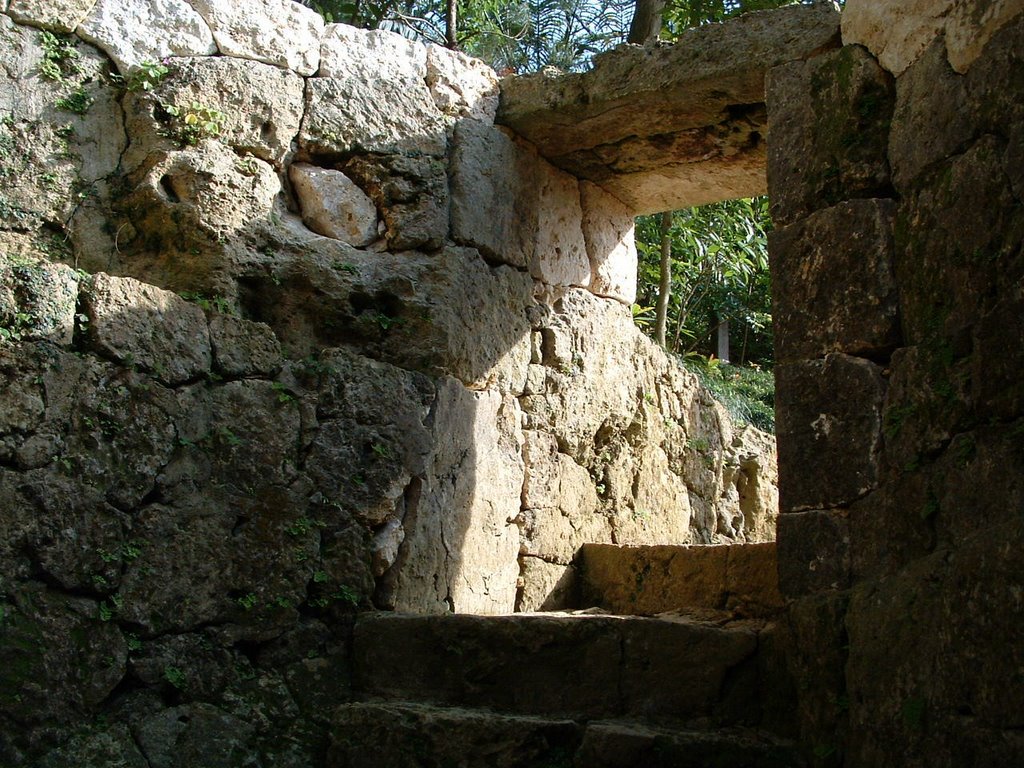 f:id:SQB:20120119200707j:image