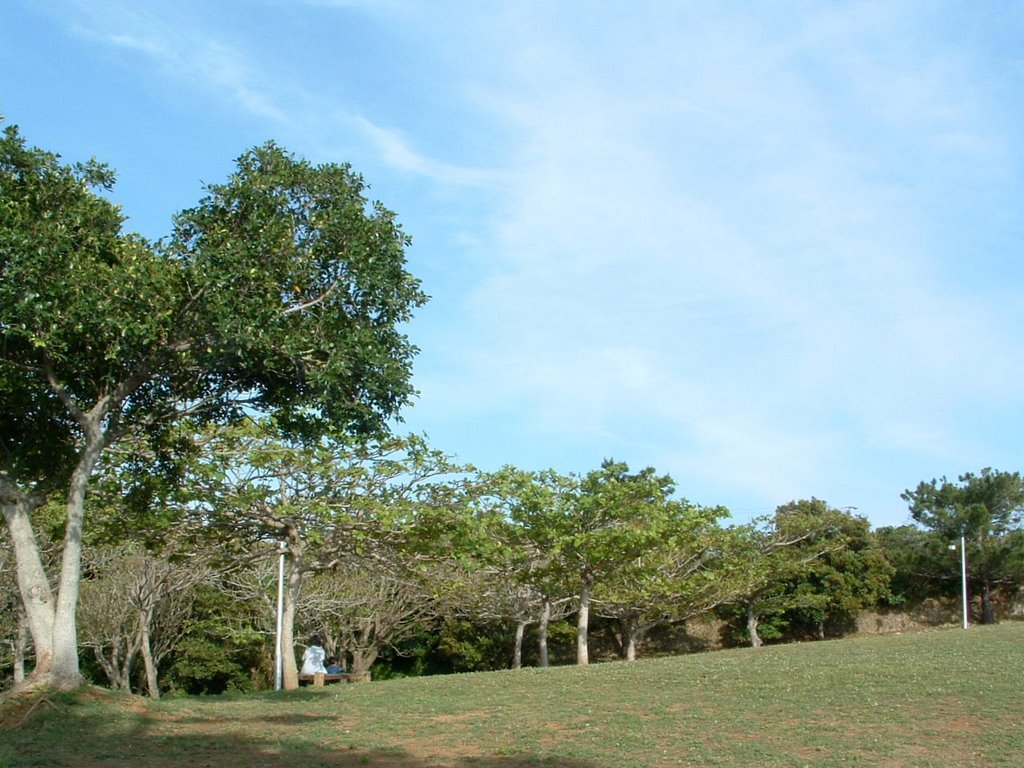 f:id:SQB:20120210213854j:image