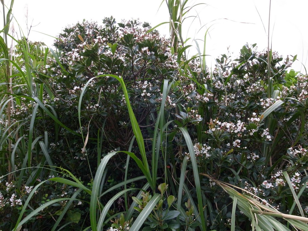 f:id:SQB:20120310193325j:image