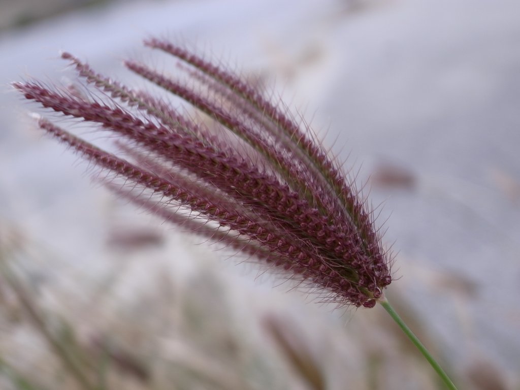 f:id:SQB:20120310194759j:image