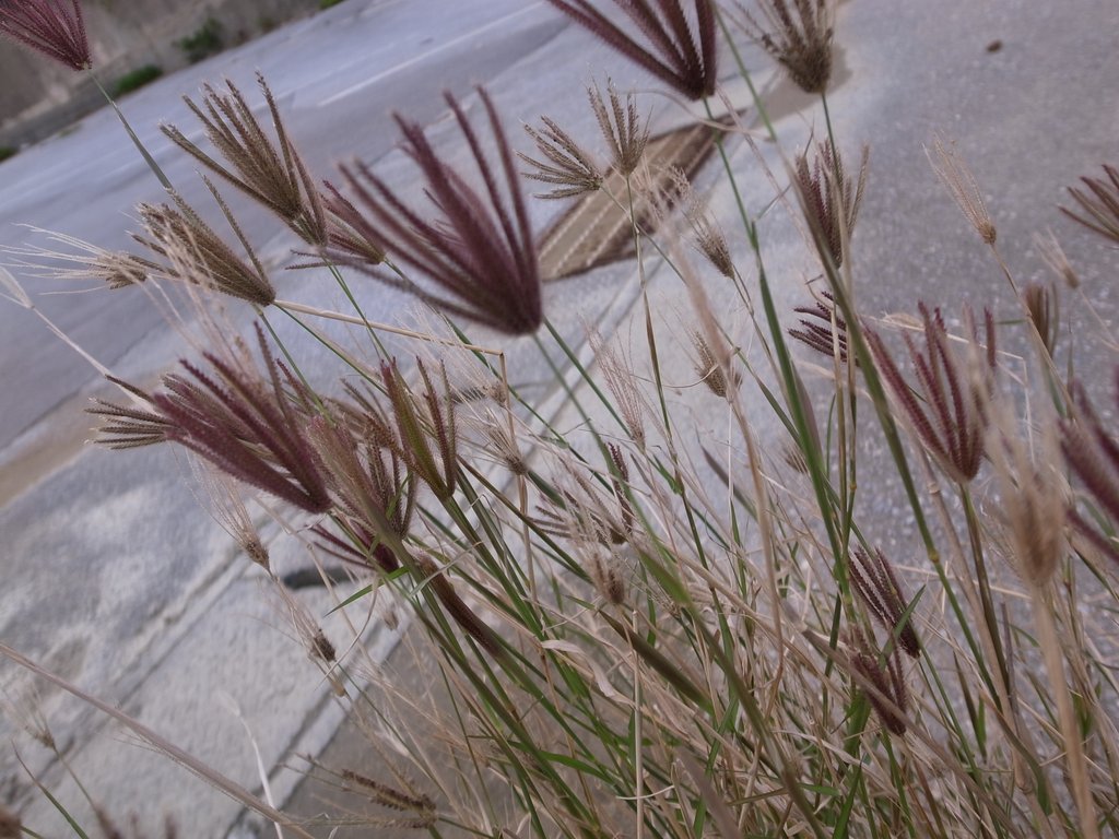 f:id:SQB:20120310194801j:image