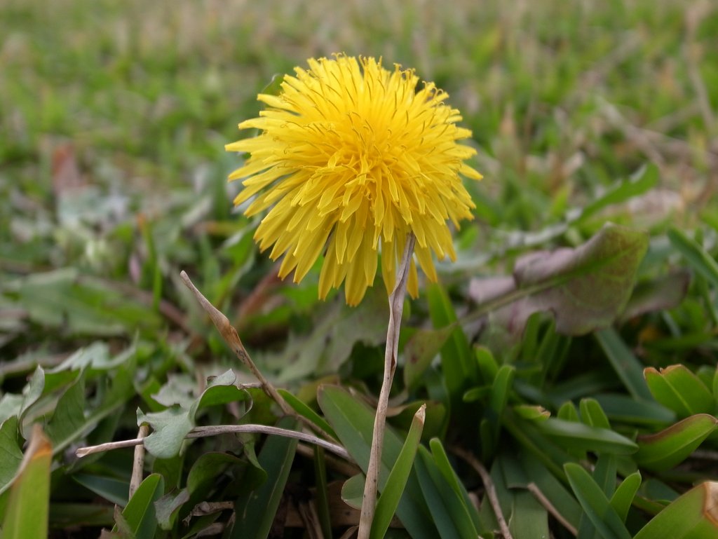 f:id:SQB:20120310195103j:image