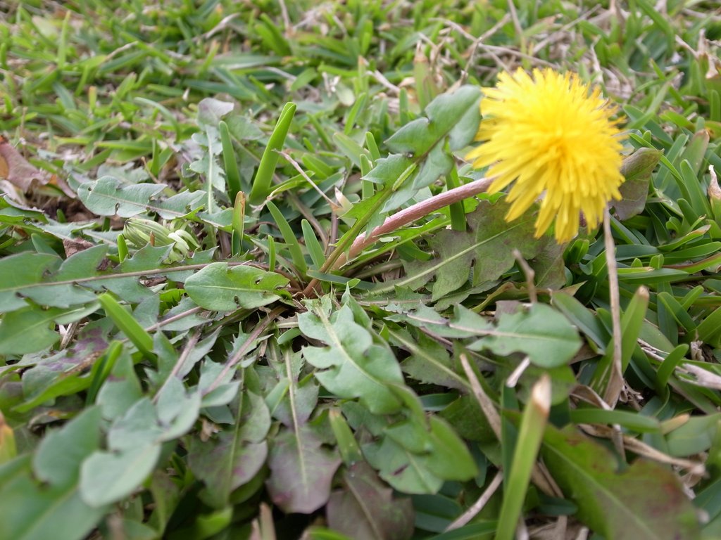 f:id:SQB:20120310195105j:image