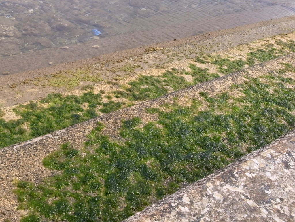 f:id:SQB:20120310195335j:image