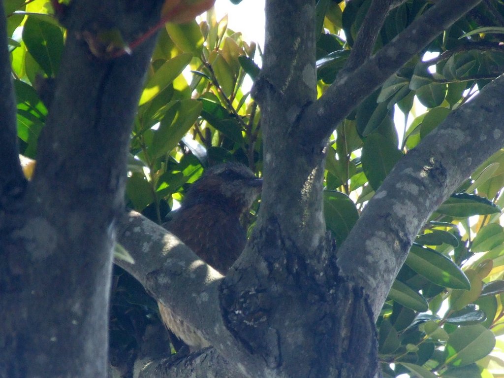 f:id:SQB:20120329201302j:image