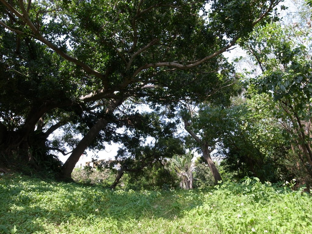 f:id:SQB:20120407162627j:image