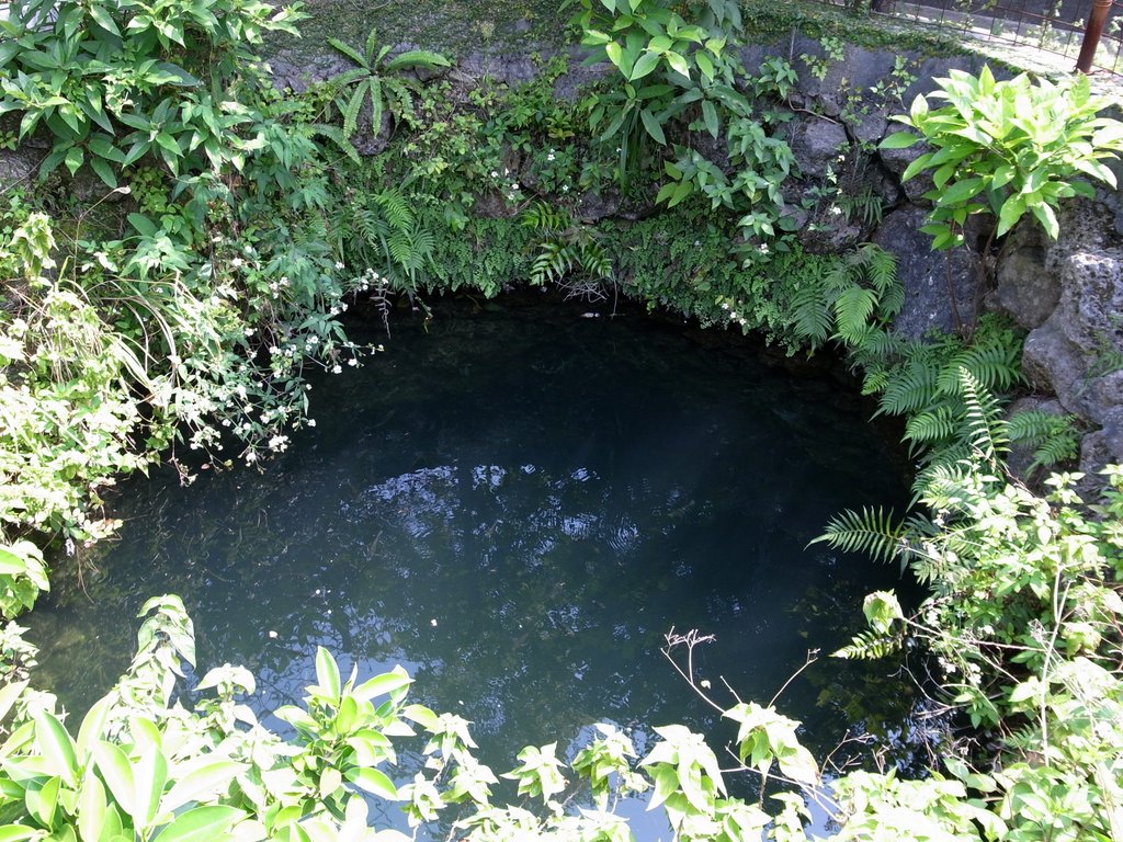 f:id:SQB:20120407162635j:image