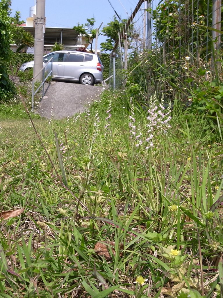 f:id:SQB:20120407162652j:image