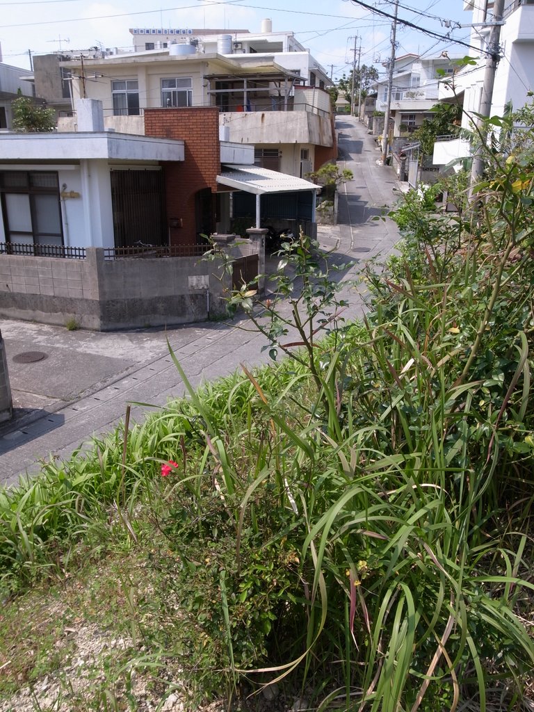 f:id:SQB:20120407162653j:image