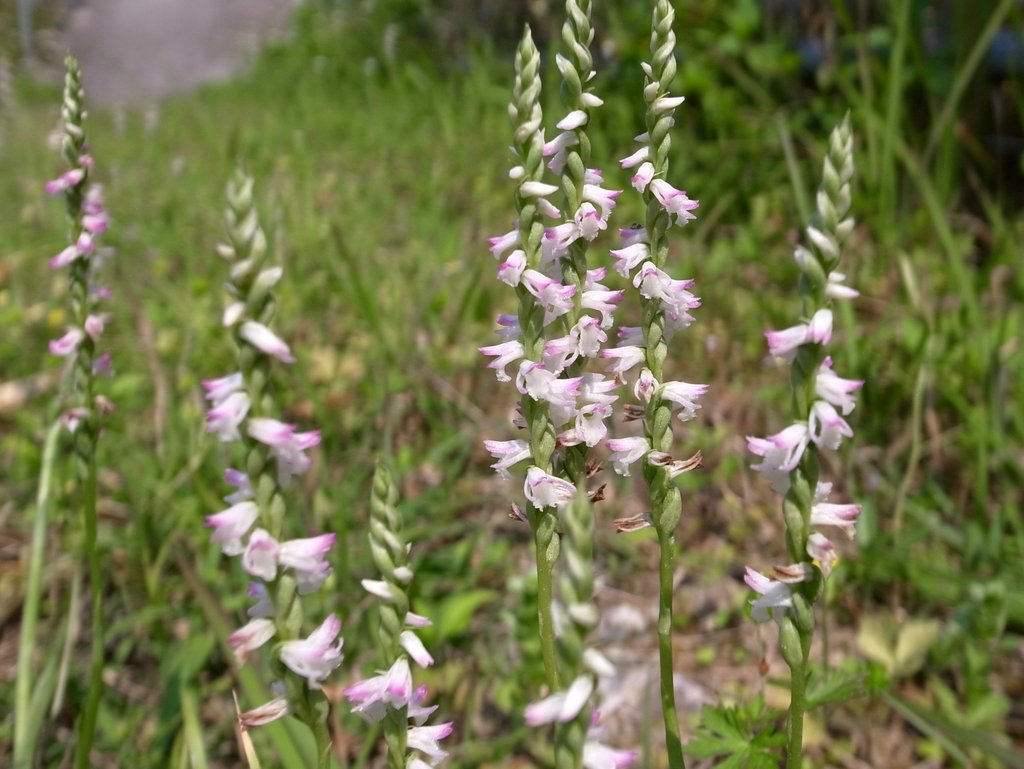 f:id:SQB:20120407162655j:image