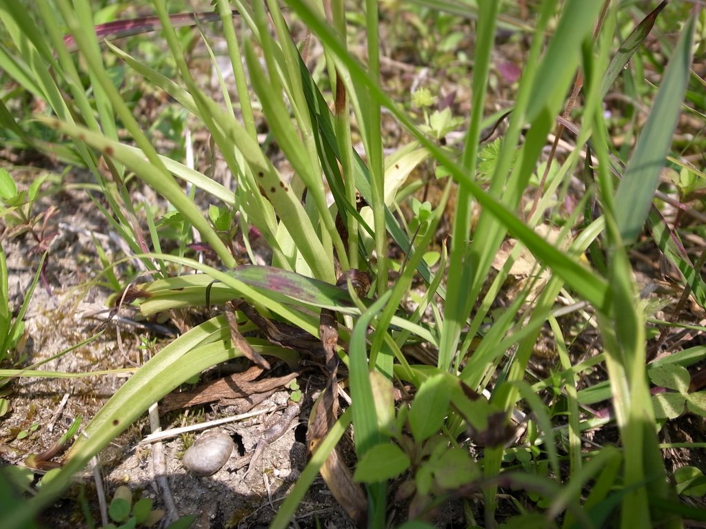 f:id:SQB:20120407162704j:image