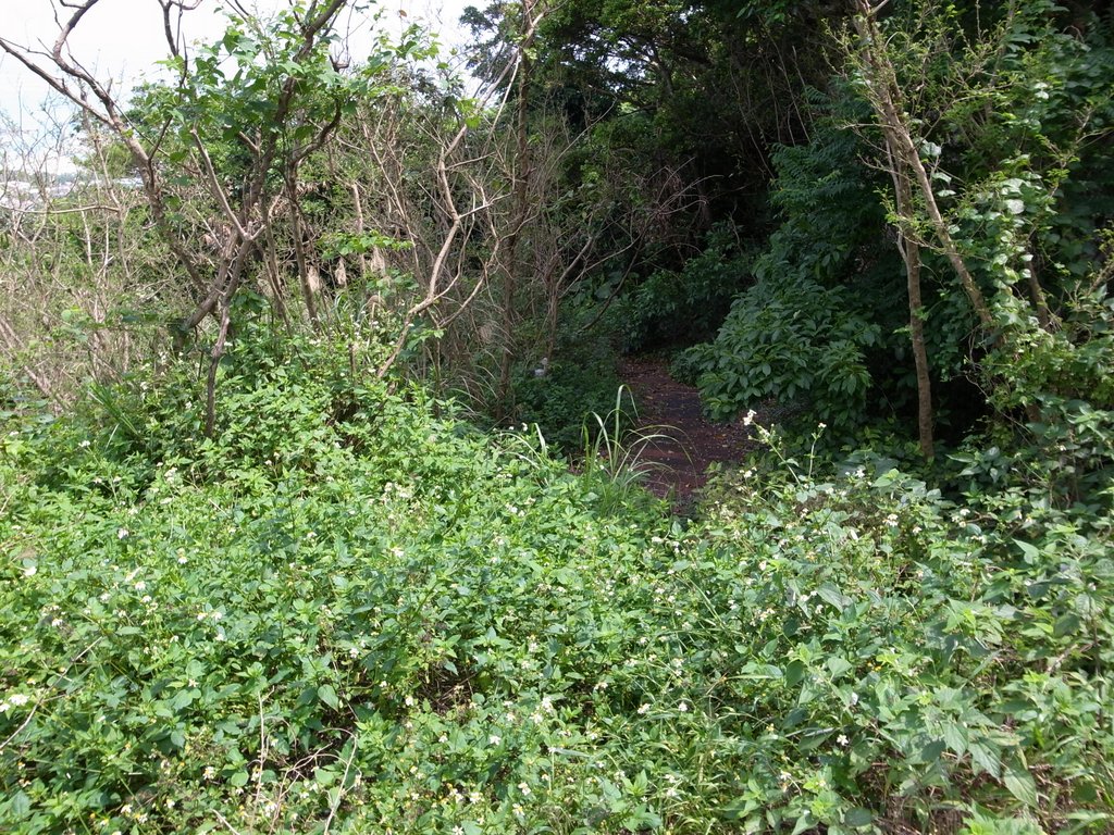 f:id:SQB:20120423201045j:image