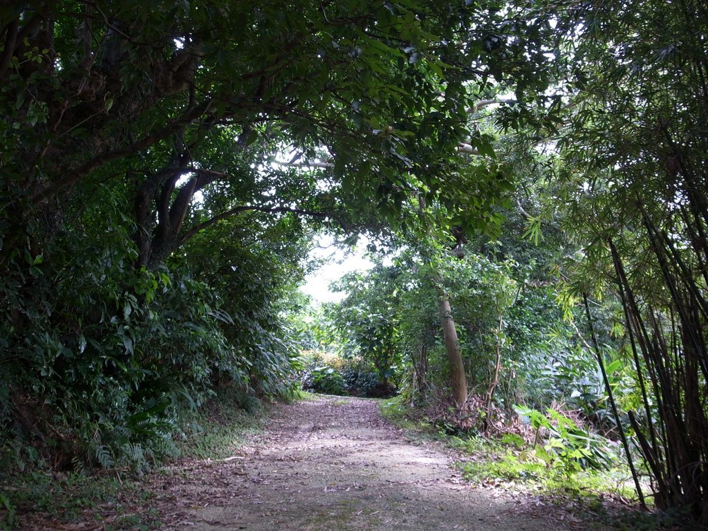 f:id:SQB:20120505170054j:image