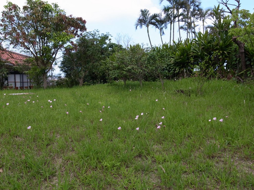 f:id:SQB:20120505170057j:image