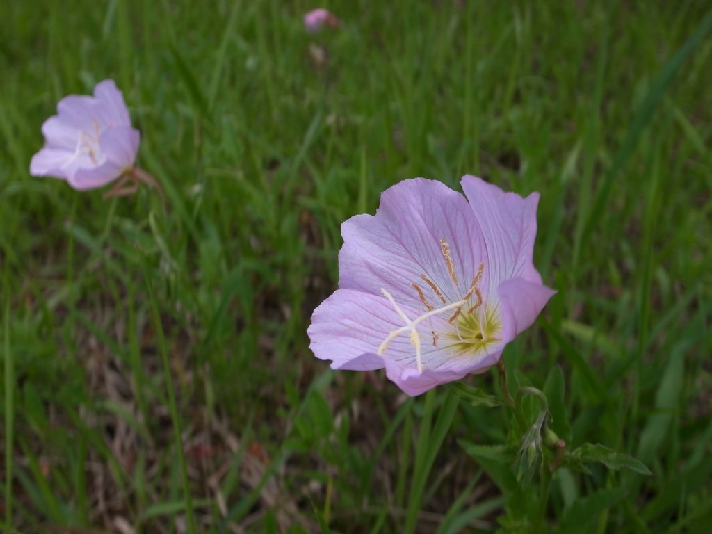 f:id:SQB:20120505170100j:image