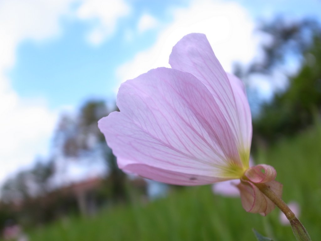 f:id:SQB:20120505170108j:image